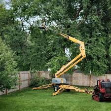 Grass Overseeding in Sound Beach, NY